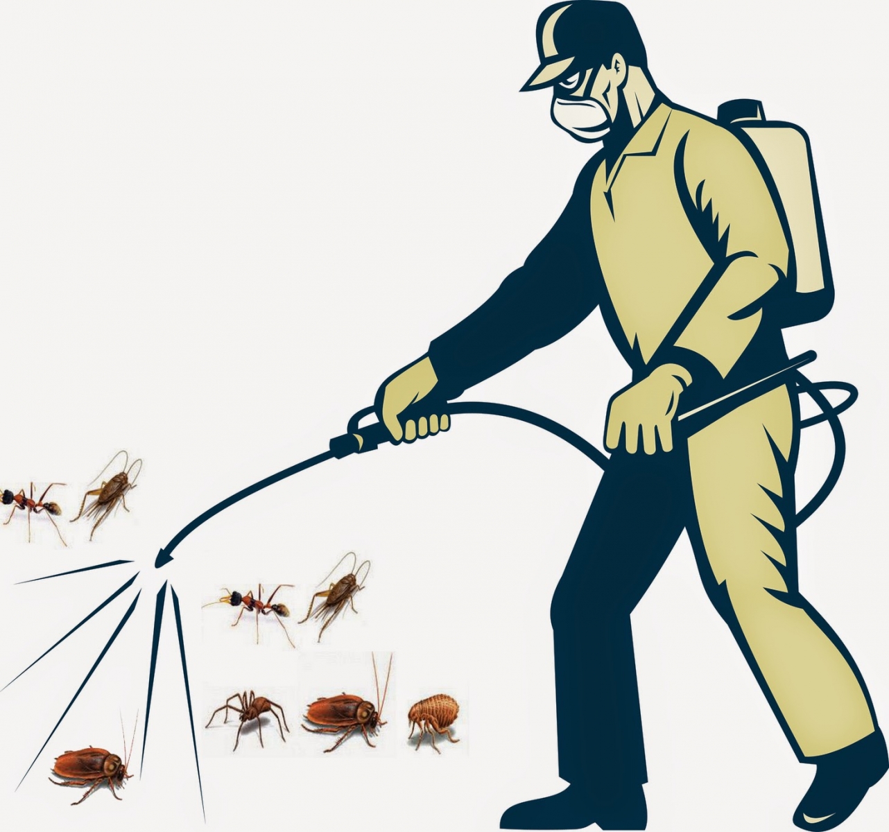 Ngăn ngừa muỗi phát triển - Diệt mối Hải Lâm